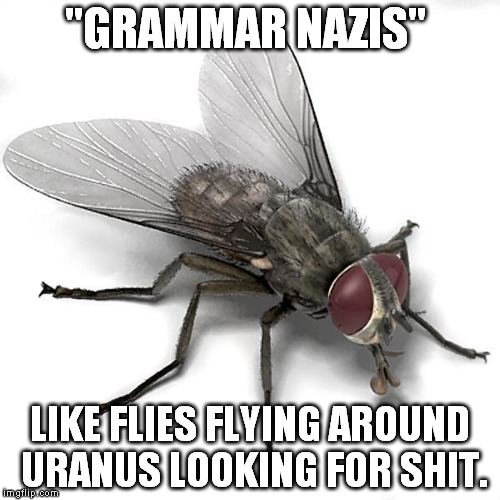 Anal Scumbag House Fly Knows It's Your Anus  | "GRAMMAR NAZIS" LIKE FLIES FLYING AROUND URANUS LOOKING FOR SHIT. | image tagged in scumbag house fly,grammar nazi,troll,downvote fairy,memes,funny | made w/ Imgflip meme maker