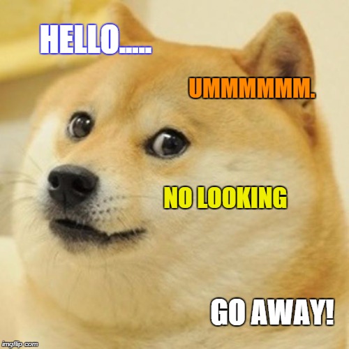 Doge Meme | HELLO..... UMMMMMM. NO LOOKING GO AWAY! | image tagged in memes,doge | made w/ Imgflip meme maker