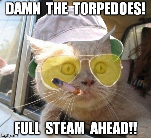 Fear And Loathing Cat | DAMN  THE  TORPEDOES! FULL  STEAM  AHEAD!! | image tagged in memes,fear and loathing cat | made w/ Imgflip meme maker