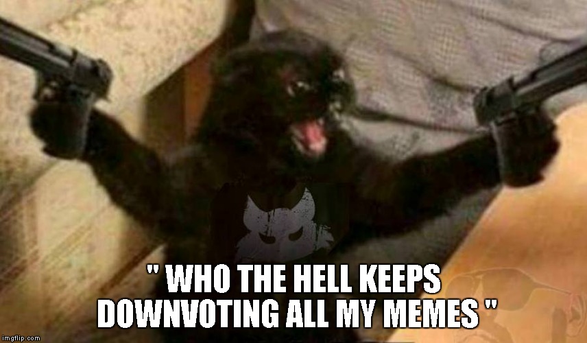You're not a true Imgflipper unless you have a troll or two following you. | " WHO THE HELL KEEPS DOWNVOTING ALL MY MEMES " | image tagged in angry cat,cat with guns,funny,downvote fairy,downvotes | made w/ Imgflip meme maker