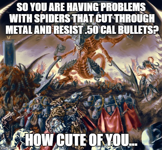 SO YOU ARE HAVING PROBLEMS WITH SPIDERS THAT CUT THROUGH METAL AND RESIST .50 CAL BULLETS? HOW CUTE OF YOU... | made w/ Imgflip meme maker