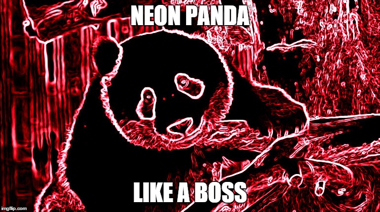 NEON PANDA LIKE A BOSS | image tagged in evil cows | made w/ Imgflip meme maker