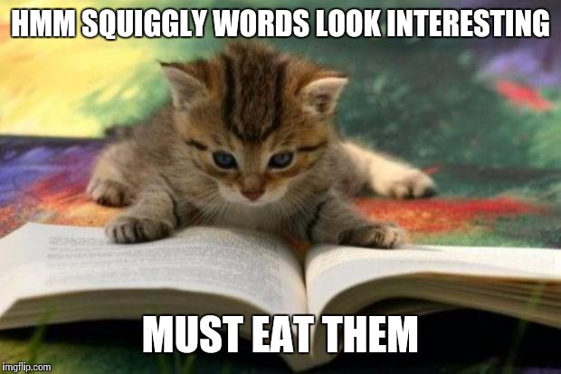 Kitten reading | HMM SQUIGGLY WORDS LOOK INTERESTING MUST EAT THEM | image tagged in kitten reading | made w/ Imgflip meme maker