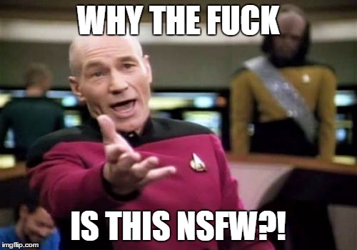 Picard Wtf Meme | WHY THE F**K IS THIS NSFW?! | image tagged in memes,picard wtf | made w/ Imgflip meme maker