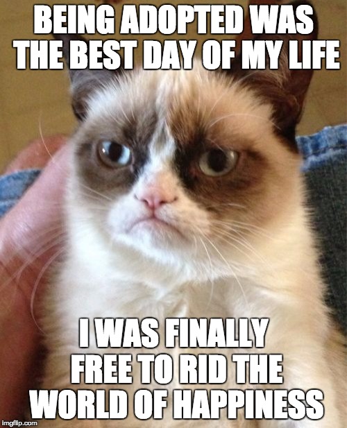 Grumpy Cat | BEING ADOPTED WAS THE BEST DAY OF MY LIFE I WAS FINALLY FREE TO RID THE WORLD OF HAPPINESS | image tagged in memes,grumpy cat | made w/ Imgflip meme maker