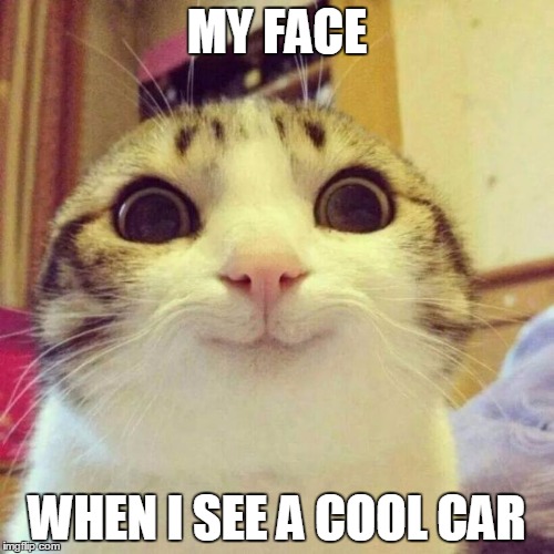 Smiling Cat | MY FACE WHEN I SEE A COOL CAR | image tagged in memes,smiling cat | made w/ Imgflip meme maker