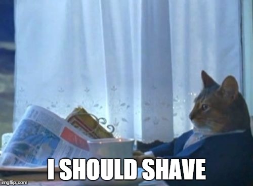 After using all my free time playing Fallout 4 since it was released | I SHOULD SHAVE | image tagged in memes,i should buy a boat cat,fallout 4 | made w/ Imgflip meme maker