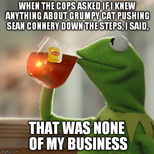 But That's None Of My Business Meme | WHEN THE COPS ASKED IF I KNEW ANYTHING ABOUT GRUMPY CAT PUSHING SEAN CONNERY DOWN THE STEPS, I SAID, THAT WAS NONE OF MY BUSINESS | image tagged in memes,but thats none of my business,kermit the frog | made w/ Imgflip meme maker