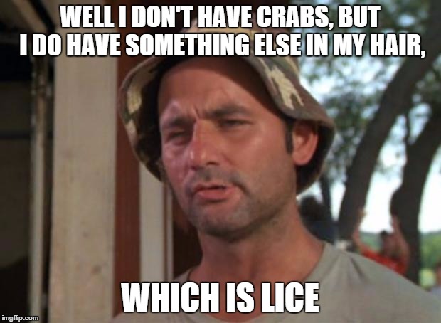 So I Got That Goin For Me Which Is Nice | WELL I DON'T HAVE CRABS, BUT I DO HAVE SOMETHING ELSE IN MY HAIR, WHICH IS LICE | image tagged in memes,so i got that goin for me which is nice,AdviceAnimals | made w/ Imgflip meme maker