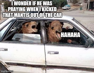 I WONDER IF HE WAS PRAYING WHEN I KICKED THAT MANTIS OUT OF THE CAR HAHAHA | made w/ Imgflip meme maker