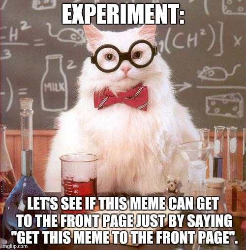 Get this meme to the front page | EXPERIMENT: LET'S SEE IF THIS MEME CAN GET TO THE FRONT PAGE JUST BY SAYING "GET THIS MEME TO THE FRONT PAGE". | image tagged in science cat,memes,front page | made w/ Imgflip meme maker