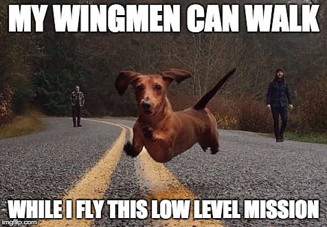 Dachshunds can fly! | MY WINGMEN CAN WALK WHILE I FLY THIS LOW LEVEL MISSION | image tagged in dachshunds can fly | made w/ Imgflip meme maker