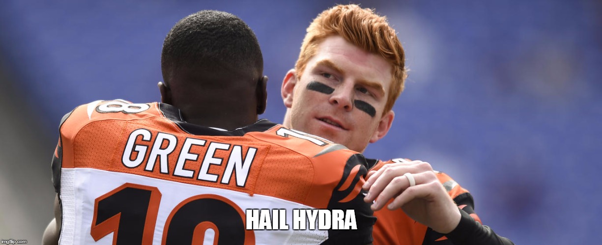 Hail Hydra Bengals | HAIL HYDRA | image tagged in hail hydra bengals | made w/ Imgflip meme maker