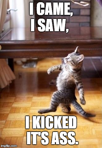 Cool Cat Stroll | I CAME, I KICKED IT'S ASS. I SAW, | image tagged in memes,cool cat stroll | made w/ Imgflip meme maker