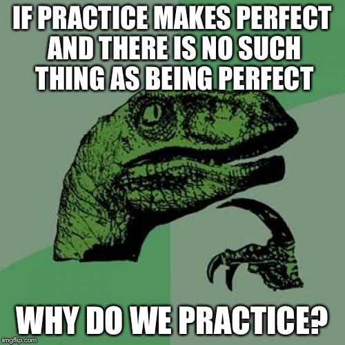 Philosoraptor | IF PRACTICE MAKES PERFECT AND THERE IS NO SUCH THING AS BEING PERFECT WHY DO WE PRACTICE? | image tagged in memes,philosoraptor | made w/ Imgflip meme maker