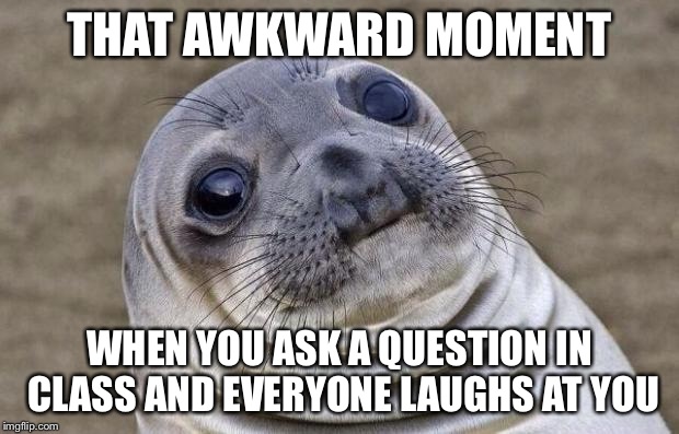 Awkward Moment Sealion | THAT AWKWARD MOMENT WHEN YOU ASK A QUESTION IN CLASS AND EVERYONE LAUGHS AT YOU | image tagged in memes,awkward moment sealion | made w/ Imgflip meme maker
