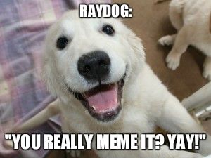 Excited labrador | RAYDOG: "YOU REALLY MEME IT? YAY!" | image tagged in excited labrador | made w/ Imgflip meme maker