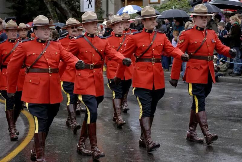 Canadian MP Blank Meme Template