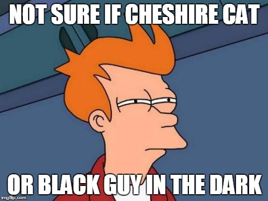 Futurama Fry | NOT SURE IF CHESHIRE CAT OR BLACK GUY IN THE DARK | image tagged in memes,futurama fry,black guy,cheshire cat | made w/ Imgflip meme maker