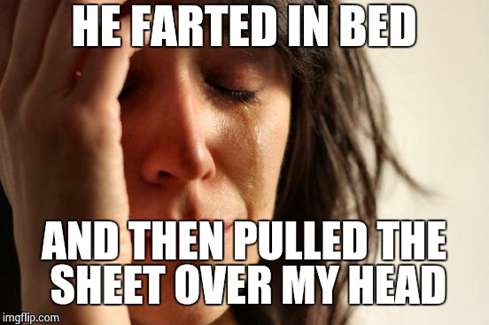 First World Problems Meme | HE FARTED IN BED AND THEN PULLED THE SHEET OVER MY HEAD | image tagged in memes,first world problems | made w/ Imgflip meme maker