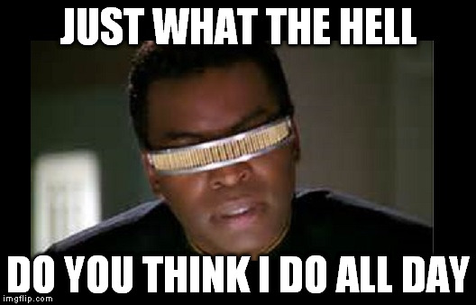 Geordi | JUST WHAT THE HELL DO YOU THINK I DO ALL DAY | image tagged in geordi | made w/ Imgflip meme maker