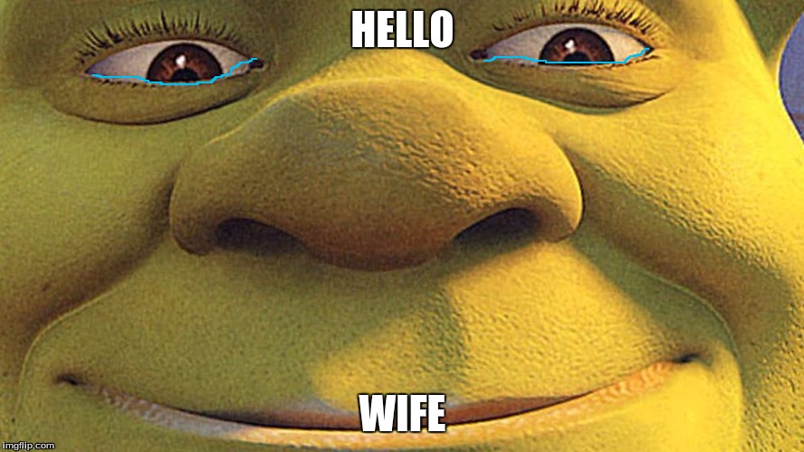 Shrekt | HELLO WIFE | image tagged in shrekt | made w/ Imgflip meme maker