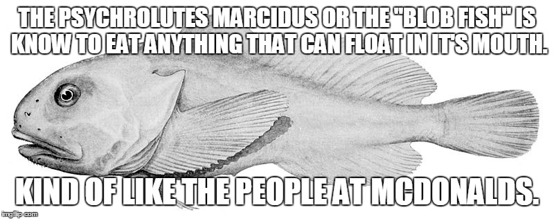 Do you see the similarities? | THE PSYCHROLUTES MARCIDUS OR THE "BLOB FISH"IS KNOW TO EAT ANYTHING THAT CAN FLOAT IN IT'S MOUTH. KIND OF LIKE THE PEOPLE AT MCDONALDS. | image tagged in blobfish,mcdonalds,mouth,meme,memes | made w/ Imgflip meme maker