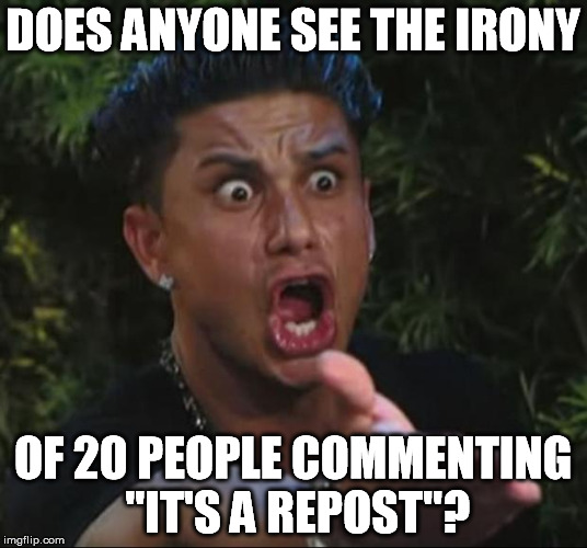 I mean, wow | DOES ANYONE SEE THE IRONY OF 20 PEOPLE COMMENTING "IT'S A REPOST"? | image tagged in memes,dj pauly d,repost,whiners,get a life | made w/ Imgflip meme maker