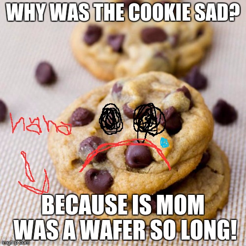 Punny Cookies | WHY WAS THE COOKIE SAD? BECAUSE IS MOM WAS A WAFER SO LONG! | image tagged in punny cookies | made w/ Imgflip meme maker