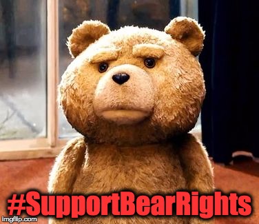 TED | #SupportBearRights | image tagged in memes,ted | made w/ Imgflip meme maker