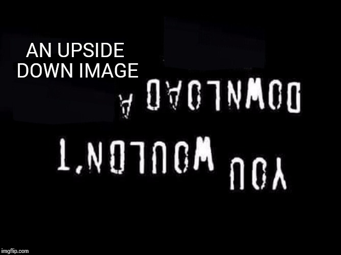 You wouldnt download a | AN UPSIDE DOWN IMAGE | image tagged in you wouldnt download a | made w/ Imgflip meme maker