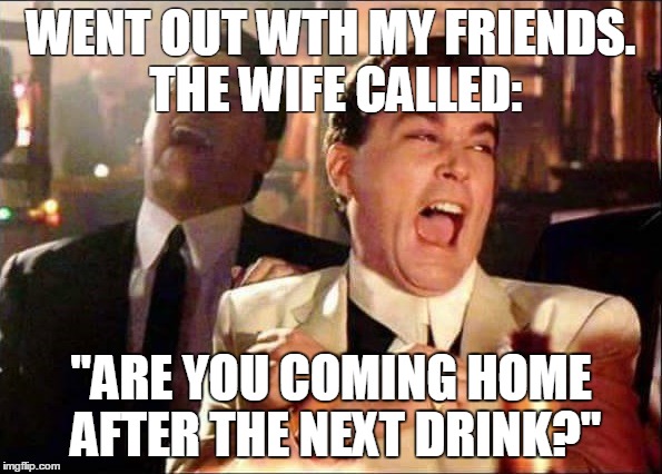 Don't be ridiculous | WENT OUT WTH MY FRIENDS. THE WIFE CALLED: "ARE YOU COMING HOME AFTER THE NEXT DRINK?" | image tagged in chuckie the chocolate lab | made w/ Imgflip meme maker
