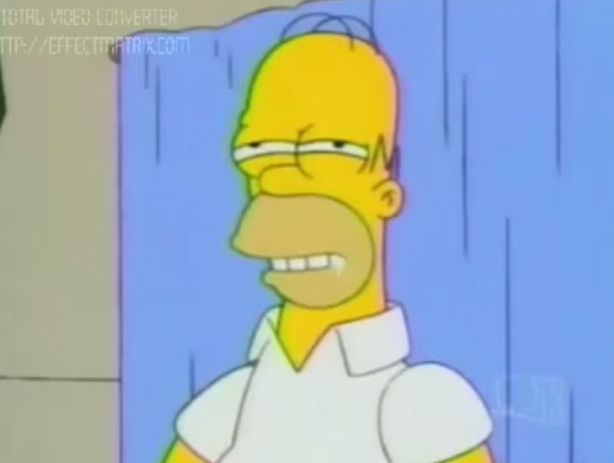 mmmmmm homero Blank Meme Template