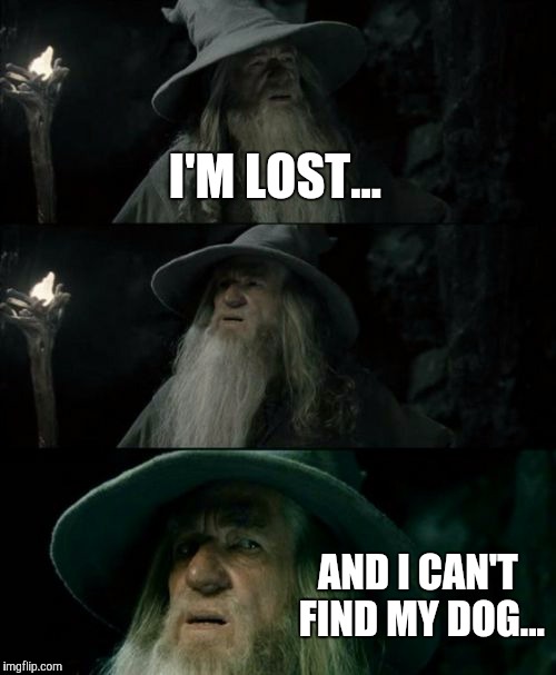 Confused Gandalf Meme | I'M LOST... AND I CAN'T FIND MY DOG... | image tagged in memes,confused gandalf | made w/ Imgflip meme maker