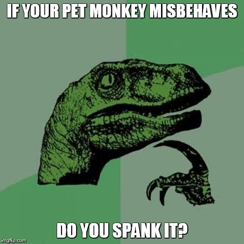 Philosoraptor | IF YOUR PET MONKEY MISBEHAVES DO YOU SPANK IT? | image tagged in memes,philosoraptor | made w/ Imgflip meme maker