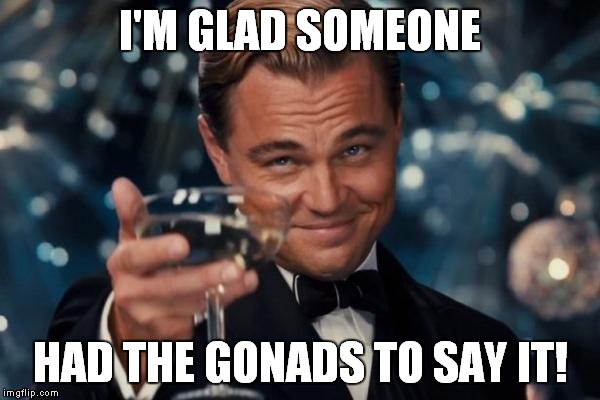 Leonardo Dicaprio Cheers Meme | I'M GLAD SOMEONE HAD THE GONADS TO SAY IT! | image tagged in memes,leonardo dicaprio cheers | made w/ Imgflip meme maker
