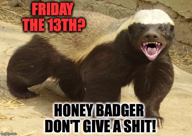 Honey badger | FRIDAY THE 13TH? HONEY BADGER DON'T GIVE A SHIT! | image tagged in honey badger | made w/ Imgflip meme maker