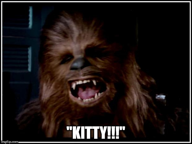 chewbacca | "KITTY!!!" | image tagged in chewbacca | made w/ Imgflip meme maker