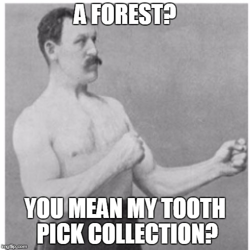 Overly Manly Man Meme | A FOREST? YOU MEAN MY TOOTH PICK COLLECTION? | image tagged in memes,overly manly man | made w/ Imgflip meme maker