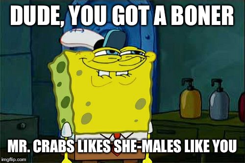 Don't You Squidward | DUDE, YOU GOT A BONER MR. CRABS LIKES SHE-MALES LIKE YOU | image tagged in memes,dont you squidward | made w/ Imgflip meme maker