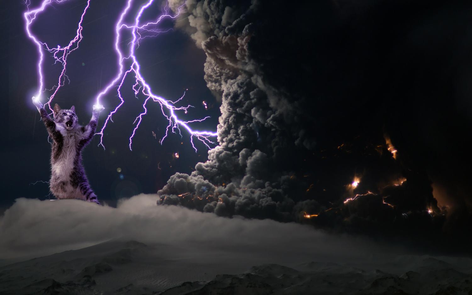 photoshopped cat lightning