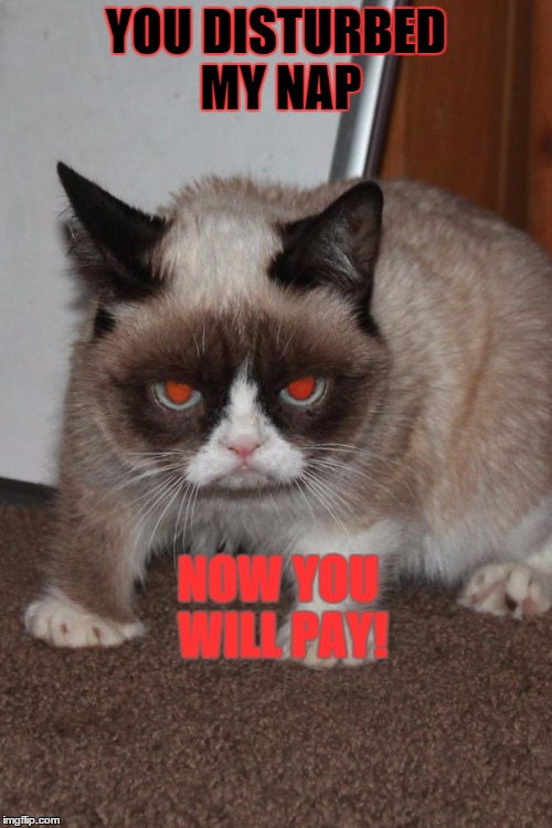 Grumpy Cat red eyes | YOU DISTURBED MY NAP NOW YOU WILL PAY! | image tagged in grumpy cat red eyes | made w/ Imgflip meme maker