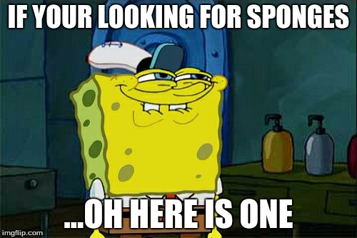 Don't You Squidward Meme | IF YOUR LOOKING FOR SPONGES ...OH HERE IS ONE | image tagged in memes,dont you squidward | made w/ Imgflip meme maker