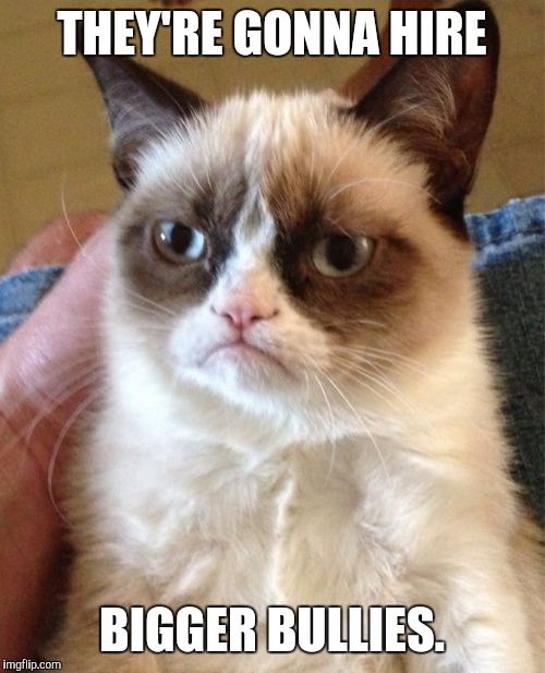 Grumpy Cat Meme | THEY'RE GONNA HIRE BIGGER BULLIES. | image tagged in memes,grumpy cat | made w/ Imgflip meme maker