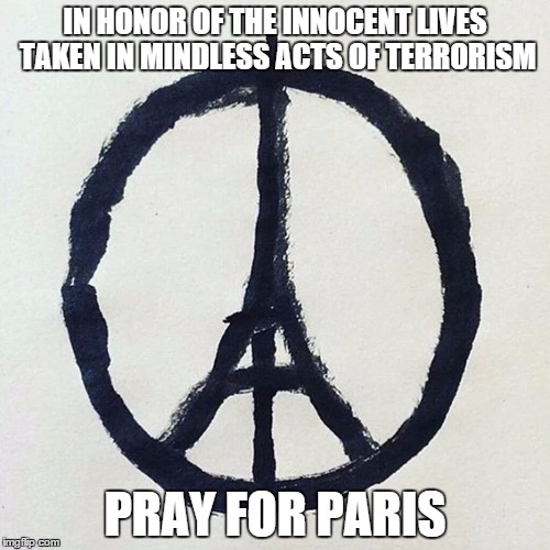 Those who were lost shall never be forgotten. | IN HONOR OF THE INNOCENT LIVES TAKEN IN MINDLESS ACTS OF TERRORISM PRAY FOR PARIS | image tagged in memes,pray for paris | made w/ Imgflip meme maker