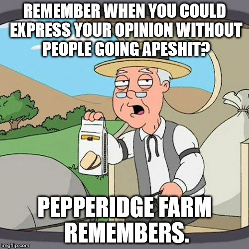 Pepperidge Farm Remembers | REMEMBER WHEN YOU COULD EXPRESS YOUR OPINION WITHOUT PEOPLE GOING APESHIT? PEPPERIDGE FARM REMEMBERS. | image tagged in memes,pepperidge farm remembers | made w/ Imgflip meme maker