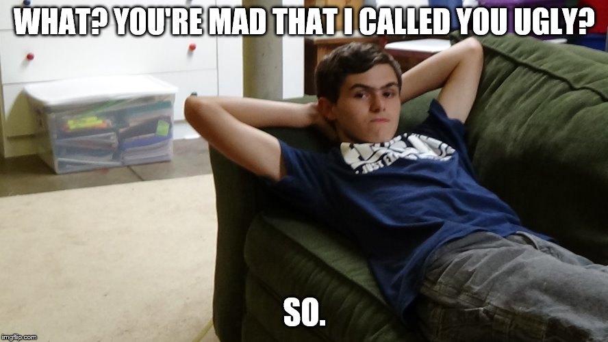 So | WHAT? YOU'RE MAD THAT I CALLED YOU UGLY? SO. | image tagged in so | made w/ Imgflip meme maker