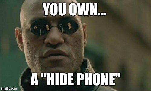 Matrix Morpheus Meme | YOU OWN... A "HIDE PHONE" | image tagged in memes,matrix morpheus | made w/ Imgflip meme maker