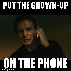 Liam Neeson Taken Meme | PUT THE GROWN-UP ON THE PHONE | image tagged in memes,liam neeson taken | made w/ Imgflip meme maker