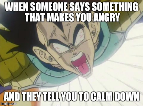 WHEN SOMEONE SAYS SOMETHING THAT MAKES YOU ANGRY AND THEY TELL YOU TO CALM DOWN | image tagged in dragon ball z,tfs,vegeta,angry,calm down | made w/ Imgflip meme maker